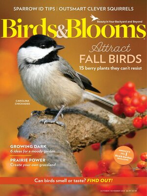 cover image of Birds & Blooms